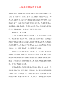 小学实习报告范文总结