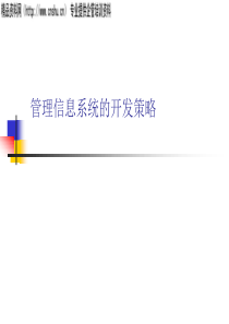 管理信息系统的开发策略（PPT35页）