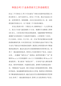 科技公司IT业务员实习工作总结范文