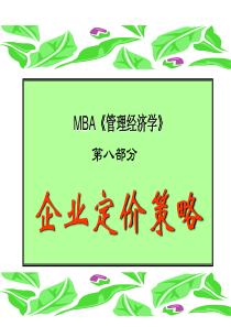 管理经济学8定价策略