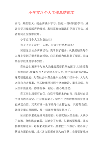 小学实习个人工作总结范文