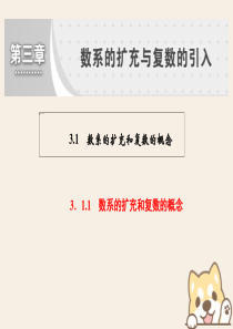 （浙江专版）2019-2020学年高中数学 第三章 数系的扩充与复数的引入 3.1.1 数系的扩充和