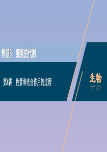 （浙江选考）2021版新高考生物一轮复习 专题3 细胞的代谢 第8讲 色素和光合作用的过程课件 新人