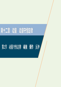 （浙江选考）2021版高考物理一轮复习 第十二章 动量 动量守恒定律 第2节 动量守恒定律 碰撞 爆