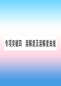 （云南专用）2019中考化学总复习 专项突破四 溶解度及溶解度的书写课件