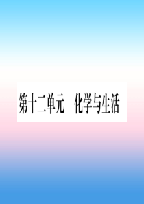 （云南专用）2019中考化学总复习 第1部分 教材系统复习 九下 第12单元 化学与生活（精练）课件