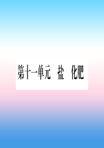 （云南专用）2019中考化学总复习 第1部分 教材系统复习 九下 第11单元 盐 化肥（精讲）课件