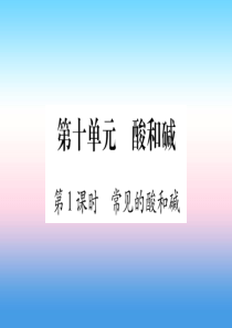 （云南专用）2019中考化学总复习 第1部分 教材系统复习 九下 第10单元 酸和碱 第1课时 常见