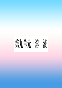 （云南专用）2019中考化学总复习 第1部分 教材系统复习 九下 第9单元 溶液（精练）课件