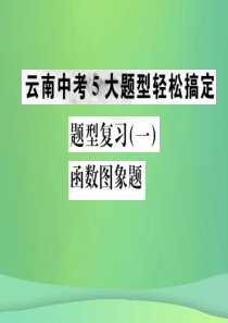 （云南专版）2019年中考化学总复习 题型复习（一）函数图像题课件