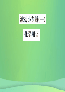 （云南专版）2019年中考化学总复习 滚动小专题（一）化学用语课件