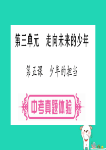 （云南专版）2019年中考道德与法治总复习 第1篇 真题体验 满分演练九下 第3单元 走向未来的少年