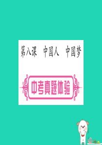 （云南专版）2019年中考道德与法治总复习 第1篇 真题体验 满分演练 九上 第4单元 和谐与梦想 