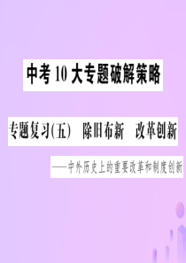 （云南专版）2019届中考历史 中考十大专题破解策略 专题复习（五）除旧布新 改革创新—中外历史上的