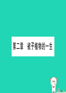 （玉林专版）2019年中考生物总复习 七上 第3单元 第2章 被子植物的一生习题课件