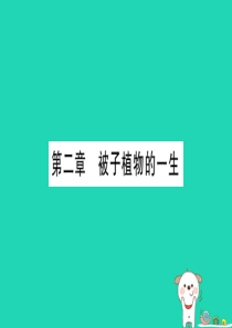 （玉林专版）2019年中考生物总复习 七上 第3单元 第2章 被子植物的一生课件