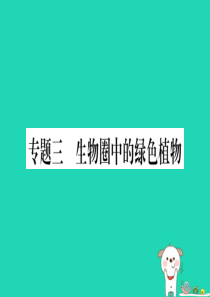 （玉林专版）2019年中考生物总复习 第2部分 知能综合突破 专题3 生物圈中的绿色植物课件