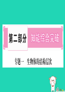 （玉林专版）2019年中考生物总复习 第2部分 知能综合突破 专题1 生物体的结构层次课件