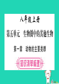 （玉林专版）2019年中考生物总复习 八上 第5单元 第1章 动物的主要类群课件