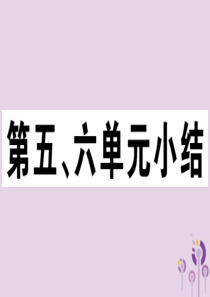 （玉林专版）2019春八年级历史下册 第五、六单元小结习题课件 新人教版