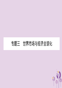 （宜宾专版）2019届中考历史总复习 第2编 热点专题速查 专题3 世界市场与经济全球化课件