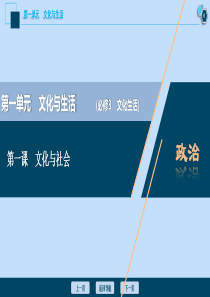 （选考）2021版新高考政治一轮复习 文化生活 第一单元 文化与生活 1 第一课 文化与社会课件