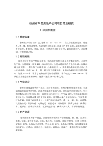 徐州市XX房地产公司项目策划研究(DOC15)(1)