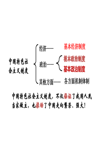 2020-2021学年人教版道德与法治八年级下册--5.3基本政治制度---课件