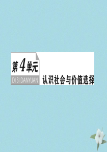 （新课标）2021版高考政治一轮总复习 第四单元 认识社会与价值选择 第十一课 寻觅社会的真谛课件 