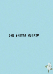 （新课标）2021版高考政治一轮总复习 第四单元 当代国际社会 第十课 维护世界和平 促进共同发展课