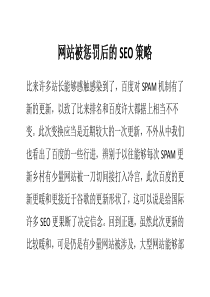 网站被惩罚后的SEO策略