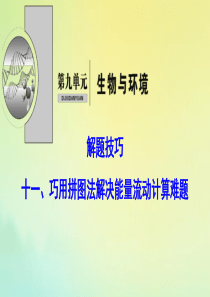 （新课标）2020高考生物一轮总复习 解题技巧十一 巧用拼图法解决能量流动计算难题课件