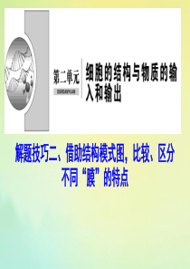 （新课标）2020高考生物一轮总复习 解题技巧二 借助结构模式图比较、区分不同“膜”的特点课件