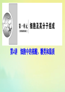 （新课标）2020高考生物一轮总复习 第1单元 第4讲 细胞中的核酸、糖类和脂质课件