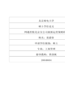 网通控股北京分公司虚拟运营策略研究