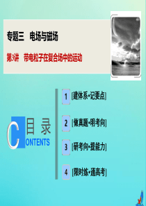 （新课标）2020版高考物理二轮复习 专题三 第3讲 带电粒子在复合场中的运动课件