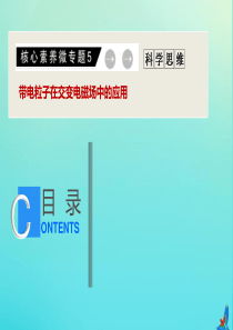 （新课标）2020版高考物理二轮复习 核心素养微专题5 带电粒子在交变电磁场中的应用课件