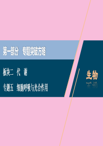 （新高考）2020高考生物二轮复习 第一部分 专题突破方略 板块二 代谢 专题五 细胞呼吸与光合作用