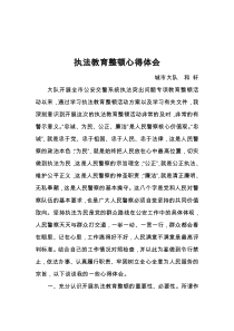 执法教育整顿心得体会()