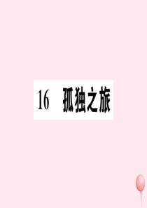 （孝感专版）2019秋九年级语文上册 第四单元 16 孤独之旅习题课件 新人教版