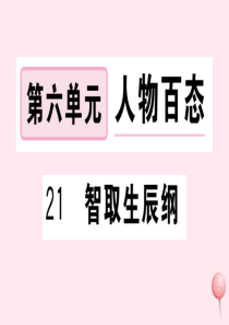 （武汉专版）2019秋九年级语文上册 第六单元 21智取生辰纲习题课件 新人教版