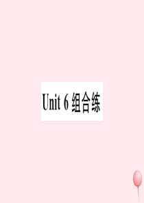 （武汉专版）2019秋九年级英语全册 Unit 6 When was it invented组合练习