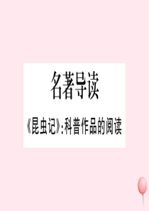 （武汉专版）2019秋八年级语文上册 第五单元 名著导读《昆虫记》习题课件 新人教版