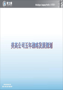 美高公司五年战略规划1224