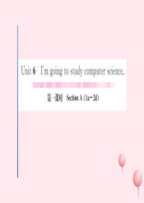 （武汉专版）2019秋八年级英语上册 Unit 6 I’m going to study compu