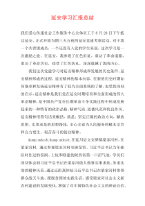 延安学习汇报总结