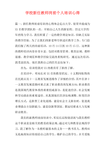 学校新任教师岗前个人培训心得