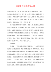 省级骨干教师培训心得