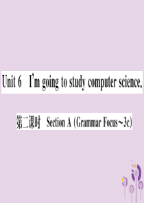 （通用版）2018秋八年级英语上册 Unit 6 I’m going to study comput