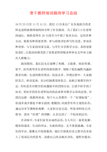 骨干教师培训跟岗学习总结